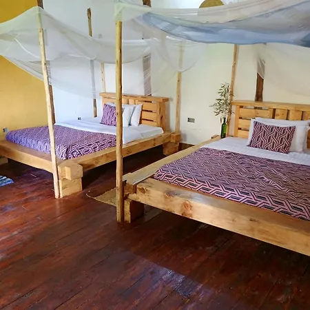 Bwindi My Home Kachulagenyi Room photo
