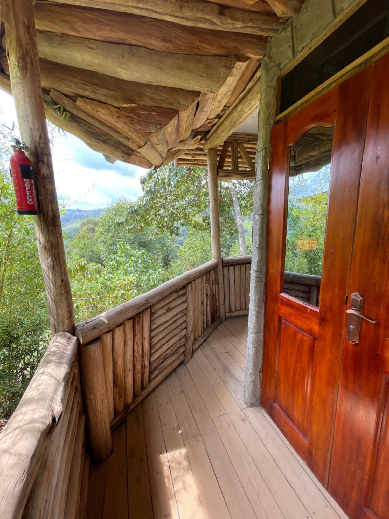 Homestay Bwindi My *