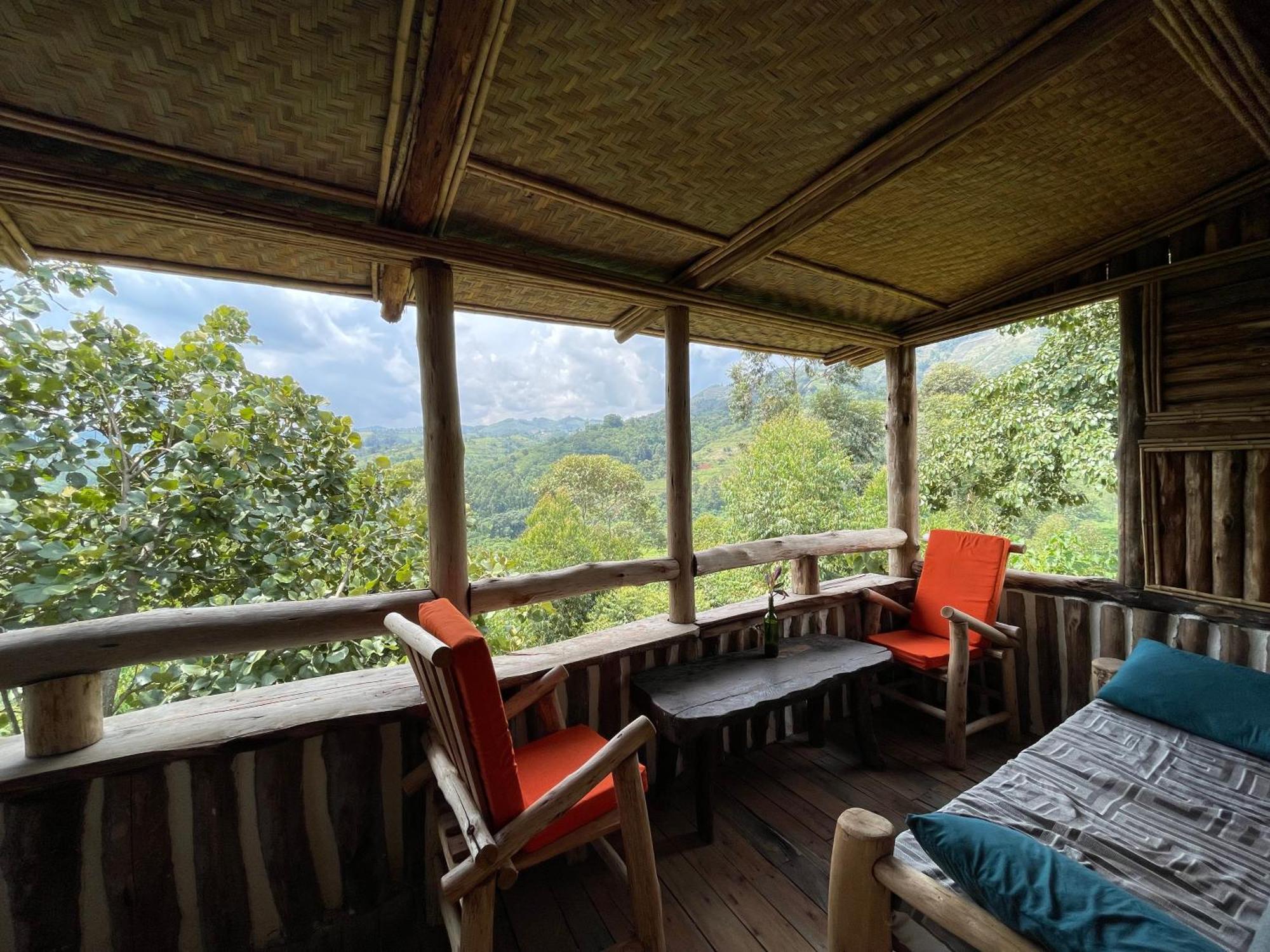 Bwindi My *