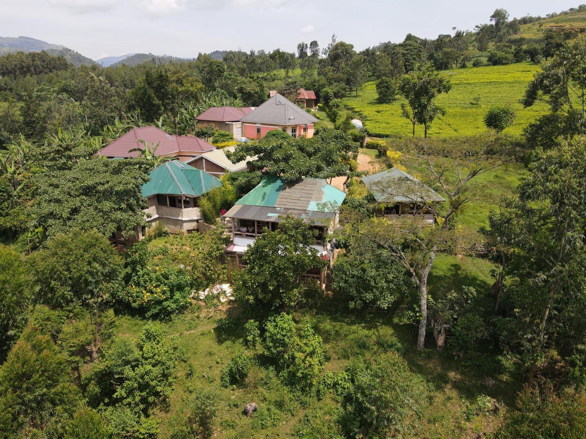 Bwindi My